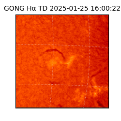 gong - 2025-01-25T16:00:22