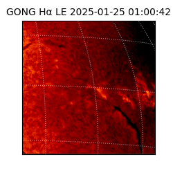 gong - 2025-01-25T01:00:42