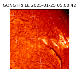 gong - 2025-01-25T05:00:42