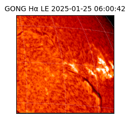 gong - 2025-01-25T06:00:42