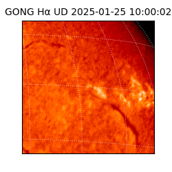gong - 2025-01-25T10:00:02