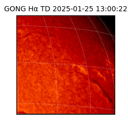 gong - 2025-01-25T13:00:22