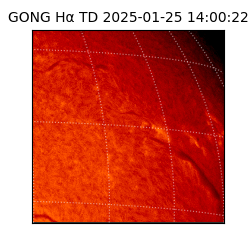 gong - 2025-01-25T14:00:22