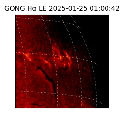 gong - 2025-01-25T01:00:42