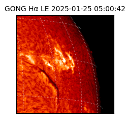 gong - 2025-01-25T05:00:42