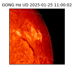 gong - 2025-01-25T11:00:02