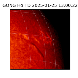 gong - 2025-01-25T13:00:22