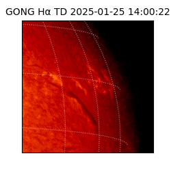 gong - 2025-01-25T14:00:22