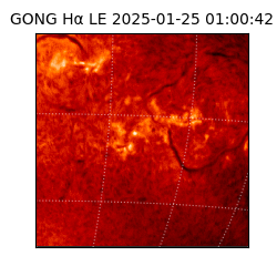 gong - 2025-01-25T01:00:42