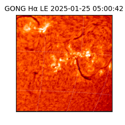 gong - 2025-01-25T05:00:42