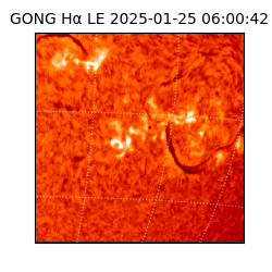 gong - 2025-01-25T06:00:42