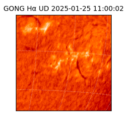 gong - 2025-01-25T11:00:02