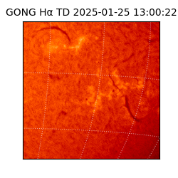 gong - 2025-01-25T13:00:22