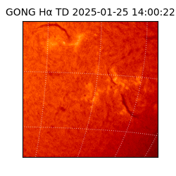 gong - 2025-01-25T14:00:22