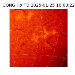 gong - 2025-01-25T16:00:22