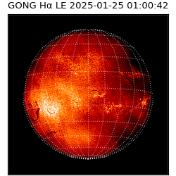 gong - 2025-01-25T01:00:42