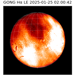 gong - 2025-01-25T02:00:42