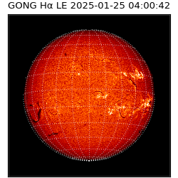 gong - 2025-01-25T04:00:42