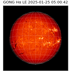 gong - 2025-01-25T05:00:42