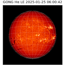 gong - 2025-01-25T06:00:42