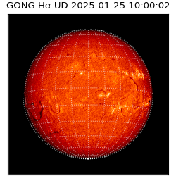 gong - 2025-01-25T10:00:02