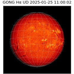gong - 2025-01-25T11:00:02