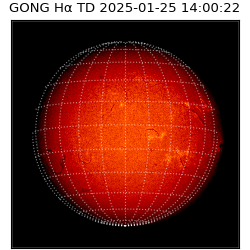 gong - 2025-01-25T14:00:22