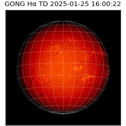 gong - 2025-01-25T16:00:22