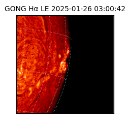 gong - 2025-01-26T03:00:42