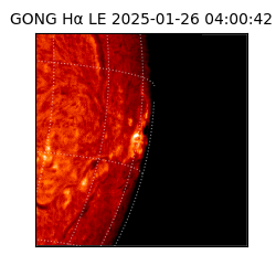 gong - 2025-01-26T04:00:42
