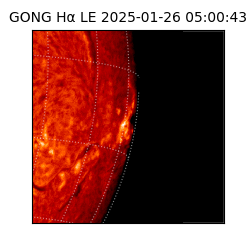 gong - 2025-01-26T05:00:43
