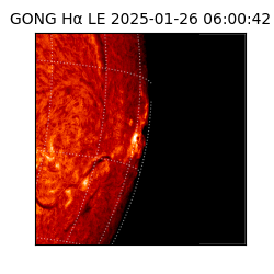 gong - 2025-01-26T06:00:42
