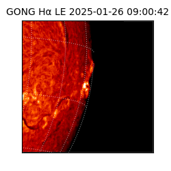 gong - 2025-01-26T09:00:42