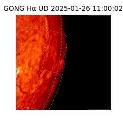 gong - 2025-01-26T11:00:02