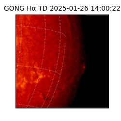 gong - 2025-01-26T14:00:22