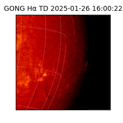 gong - 2025-01-26T16:00:22