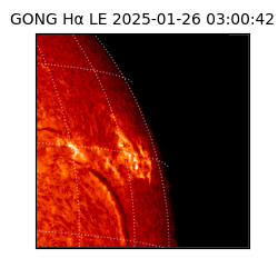 gong - 2025-01-26T03:00:42