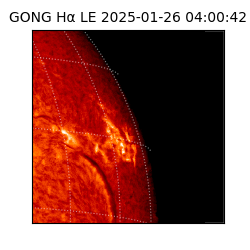 gong - 2025-01-26T04:00:42