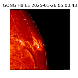 gong - 2025-01-26T05:00:43