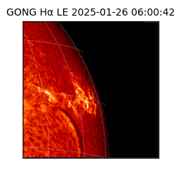 gong - 2025-01-26T06:00:42