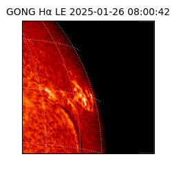 gong - 2025-01-26T08:00:42
