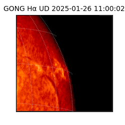 gong - 2025-01-26T11:00:02