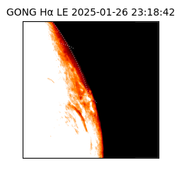 gong - 2025-01-26T23:18:42