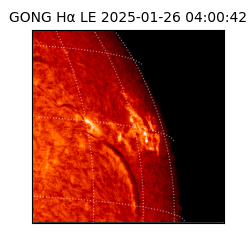 gong - 2025-01-26T04:00:42