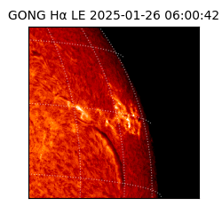 gong - 2025-01-26T06:00:42