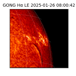 gong - 2025-01-26T08:00:42