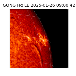 gong - 2025-01-26T09:00:42
