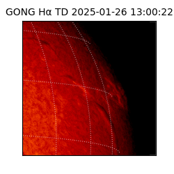 gong - 2025-01-26T13:00:22