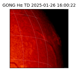 gong - 2025-01-26T16:00:22