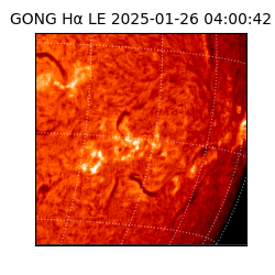 gong - 2025-01-26T04:00:42